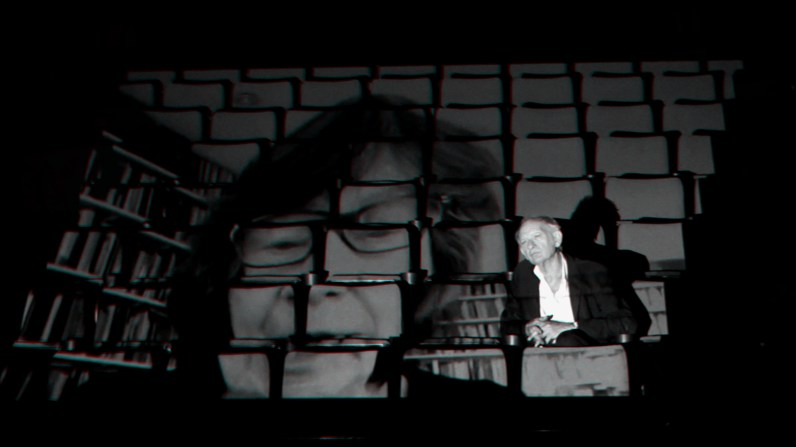 LAURA MULVEY ANAGLIF 21