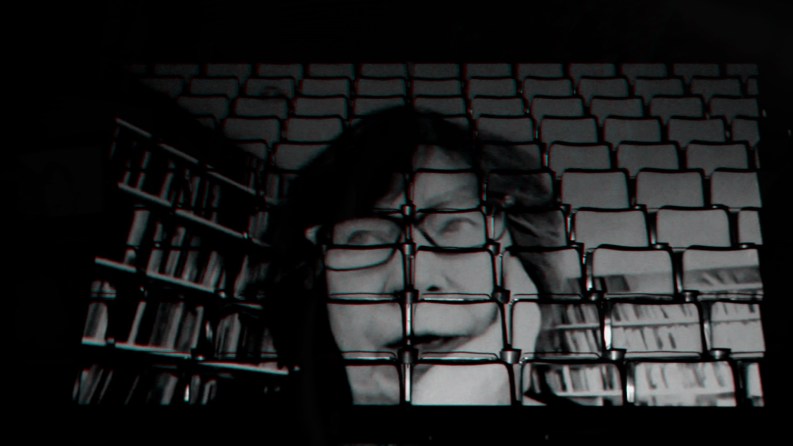 LAURA MULVEY ANAGLIF_2